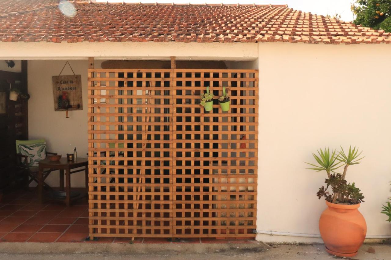 Apartament Casa Do Alambique Tomar Zewnętrze zdjęcie
