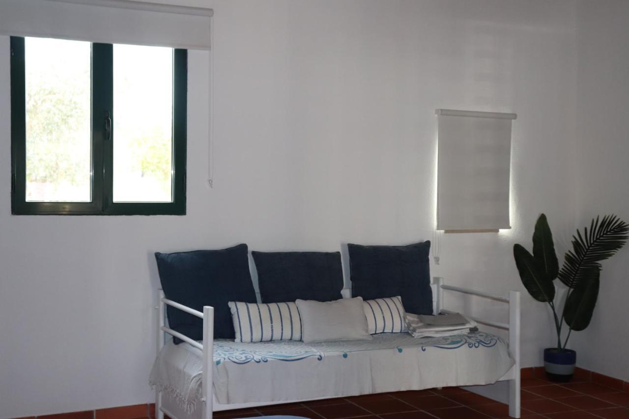 Apartament Casa Do Alambique Tomar Zewnętrze zdjęcie